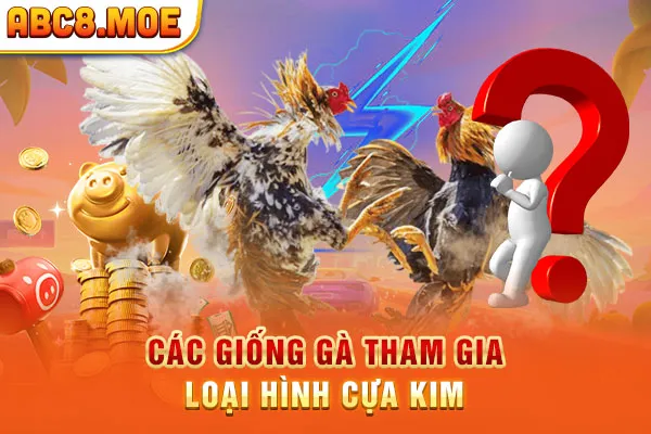 Các giống gà tham gia loại hình cựa kim