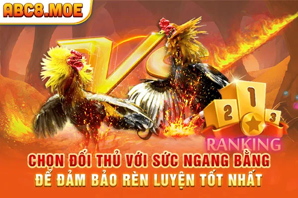 Chọn đối thủ với sức ngang bằng để đảm bảo rèn luyện tốt nhất