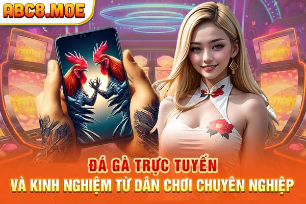 Đá Gà Trực Tuyến Và Kinh Nghiệm Từ Dân Chơi Chuyên Nghiệp