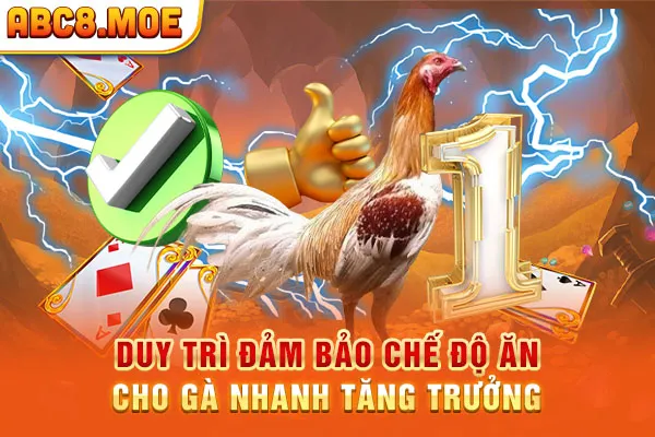 Duy trì đảm bảo chế độ ăn cho gà nhanh tăng trưởng