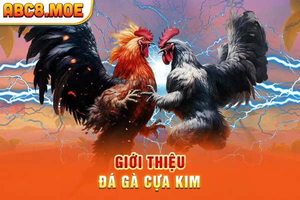 Giới thiệu đá gà cựa kim