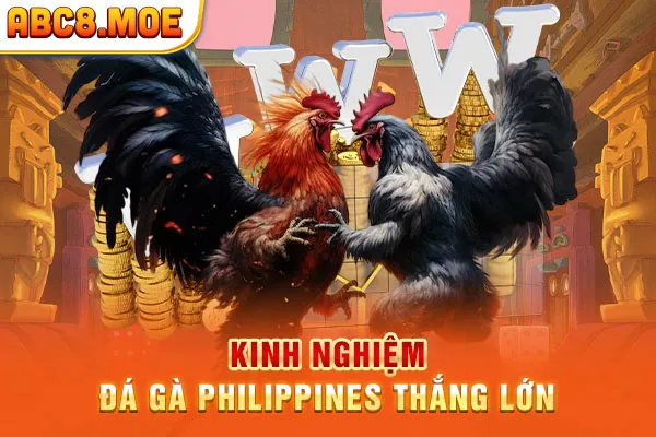 Kinh nghiệm đá gà Philippines thắng lớn