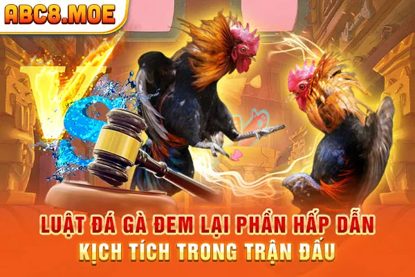 Luật đá gà đem lại phần hấp dẫn, kịch tích trong trận đấu