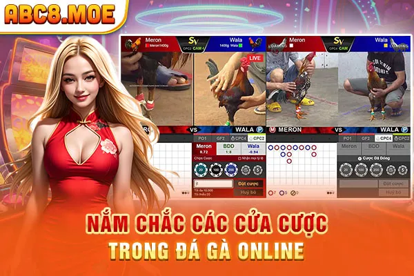 Nắm chắc các loại cược trong đá gà online