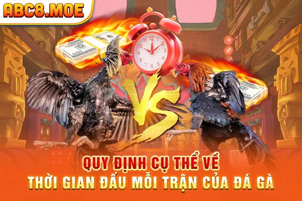 Quy định cụ thể về thời gian đấu mỗi trận của đá gà