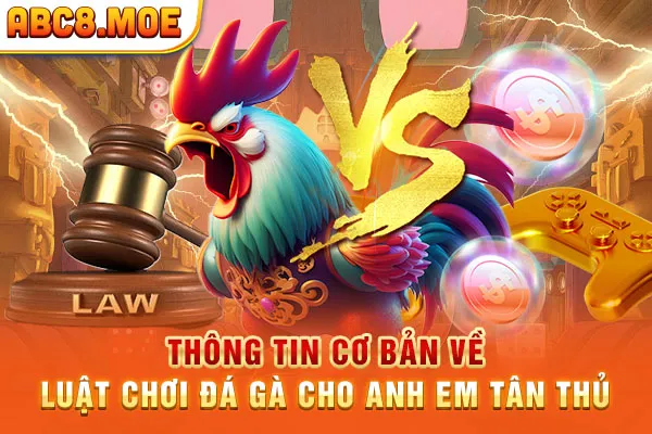 Thông tin cơ bản về luật chơi đá gà cho anh em tân thủ