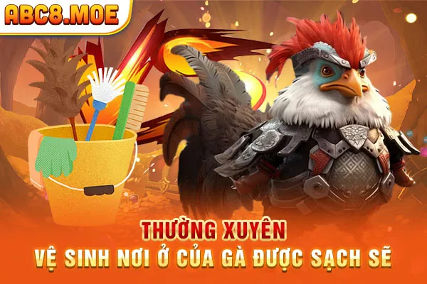 Thường xuyên vệ sinh nơi ở của gà được sạch sẽ