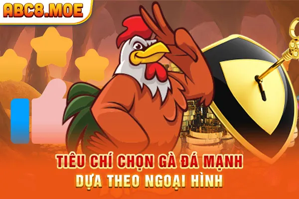 Tiêu chí chọn gà đá mạnh dựa theo ngoại hình