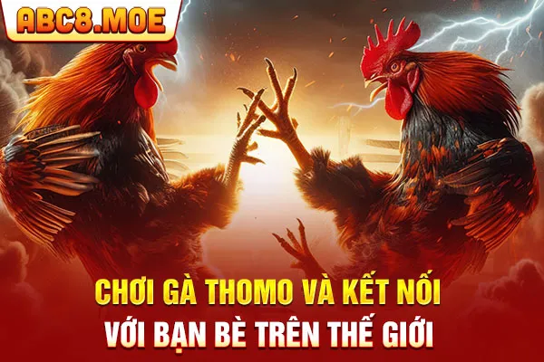 Chơi gà thomo và kết nối với bạn bè trên thế giới